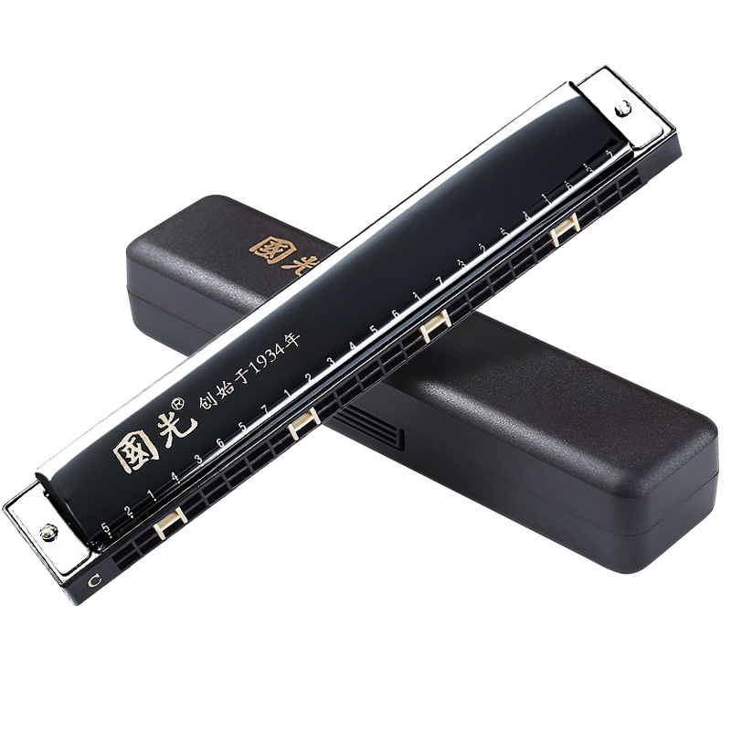 Harmonica 10 Hole - Guoguang trémolo gaita 24 buracos c
