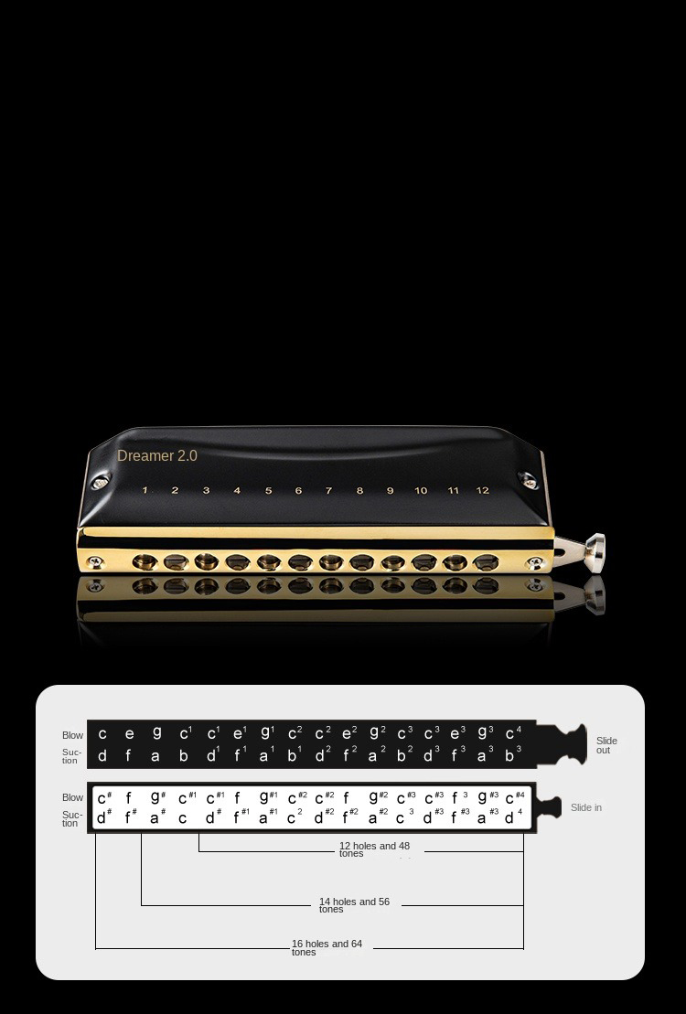 EASTTOP Dreamer Professional g - Harmonica 10 Hole avaliação e preço