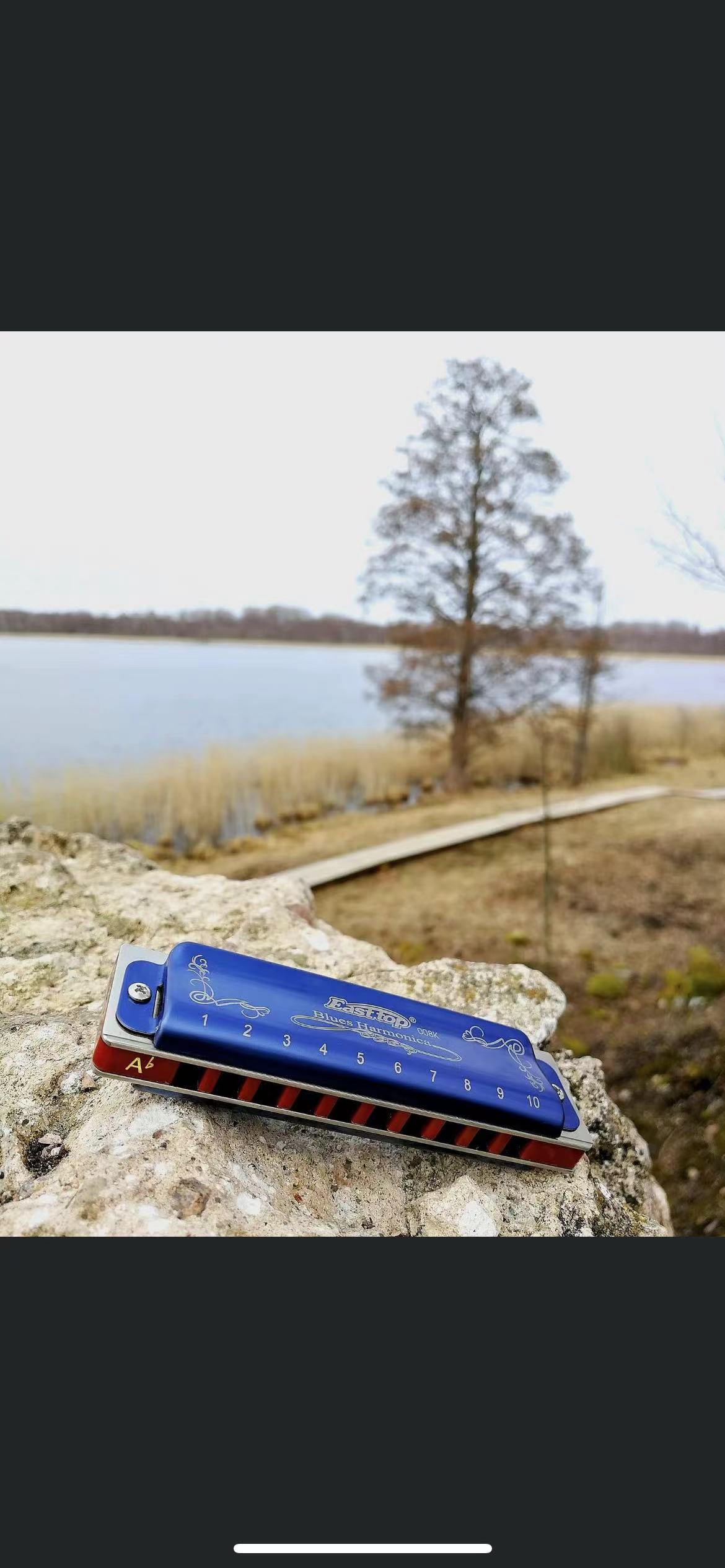 Gaita Diatônica EASTTOP T008K  - Harmonica 10 Hole avaliação e preço