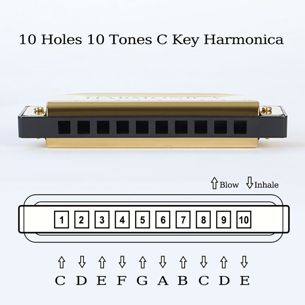 10 buracos c gaita blues harpa - Harmonica 10 Hole avaliação e preço