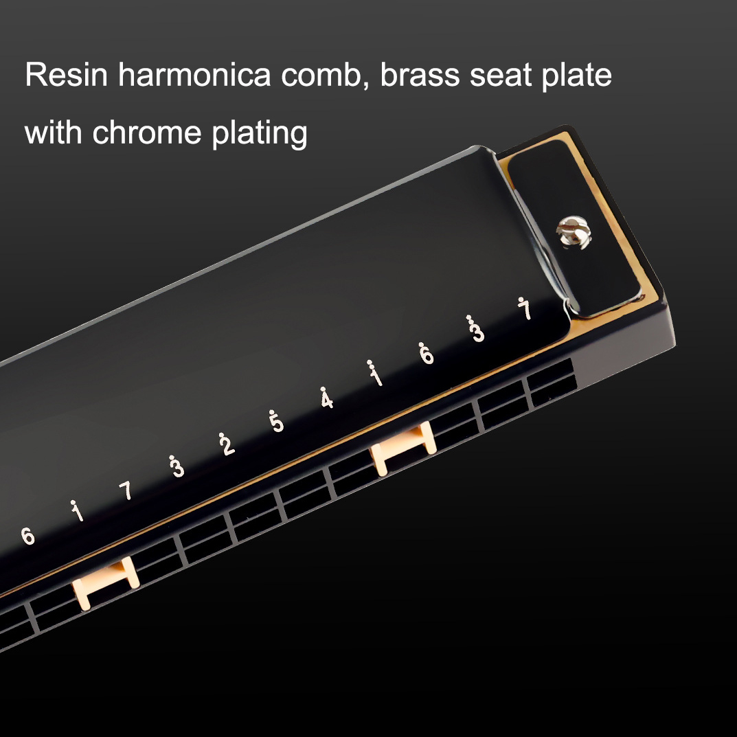 Guoguang trémolo gaita 24 bura - Harmonica 10 Hole avaliação e preço
